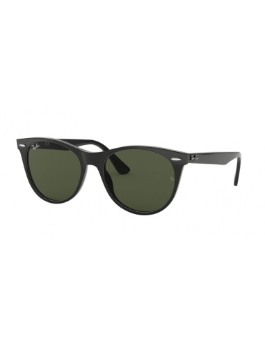 Ray-Ban Wayfarer Ii 2185F Sunglasses hantent personnes