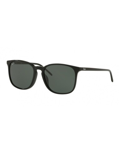 Ray-Ban 4387F Sunglasses s'inspire de l'anatomie humaine