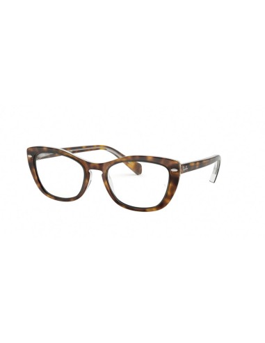 Ray-Ban 5366 Eyeglasses de France