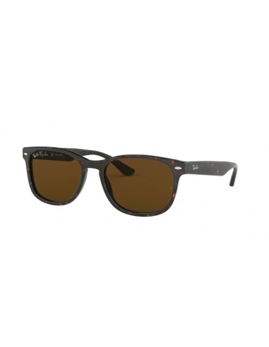 Ray-Ban 2184 Sunglasses pas cher chine