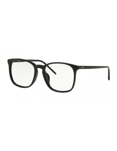 Ray-Ban 5387F Eyeglasses Véritable concentré